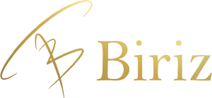 Biriz Çanta Logo
